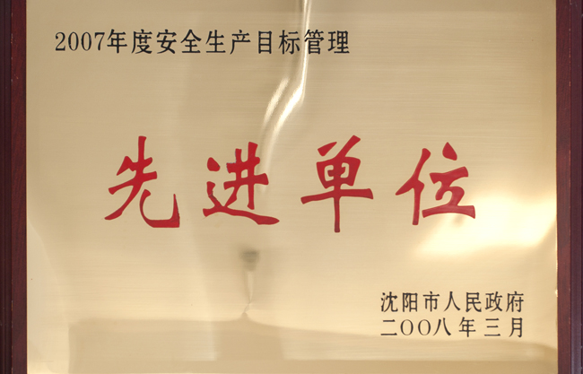 沈阳市安全出产指标治理先进单元