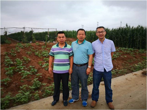 尊龙抖圈(中国区)官方网站-为du而生