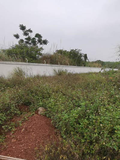 尊龙抖圈(中国区)官方网站-为du而生