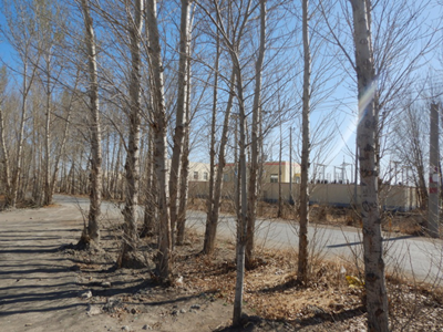 尊龙抖圈(中国区)官方网站-为du而生