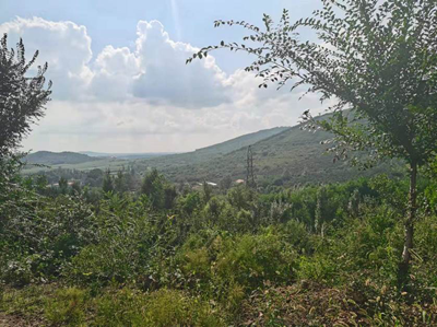 尊龙抖圈(中国区)官方网站-为du而生