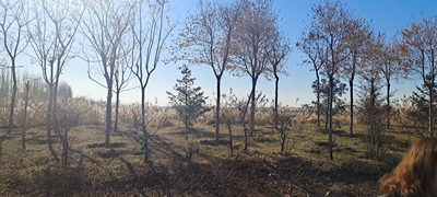 尊龙抖圈(中国区)官方网站-为du而生