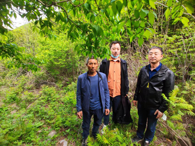 尊龙抖圈(中国区)官方网站-为du而生