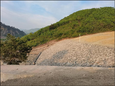 尊龙抖圈(中国区)官方网站-为du而生