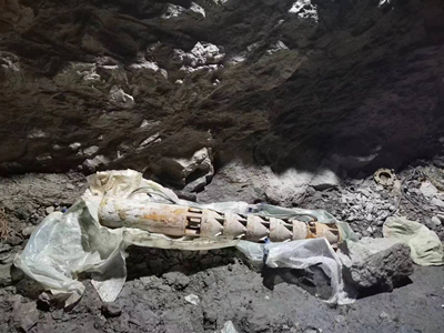 尊龙抖圈(中国区)官方网站-为du而生