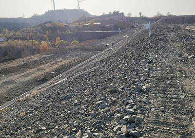 尊龙抖圈(中国区)官方网站-为du而生