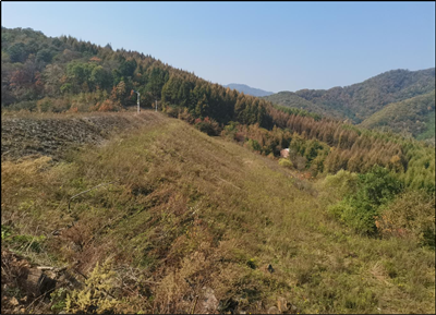 尊龙抖圈(中国区)官方网站-为du而生