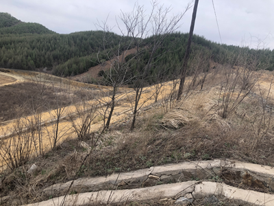 尊龙抖圈(中国区)官方网站-为du而生