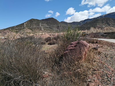 尊龙抖圈(中国区)官方网站-为du而生