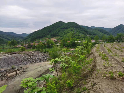 尊龙抖圈(中国区)官方网站-为du而生