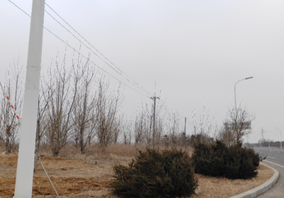 尊龙抖圈(中国区)官方网站-为du而生