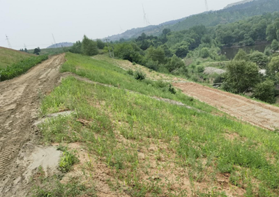 尊龙抖圈(中国区)官方网站-为du而生