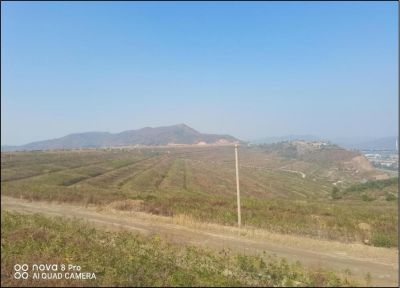 尊龙抖圈(中国区)官方网站-为du而生