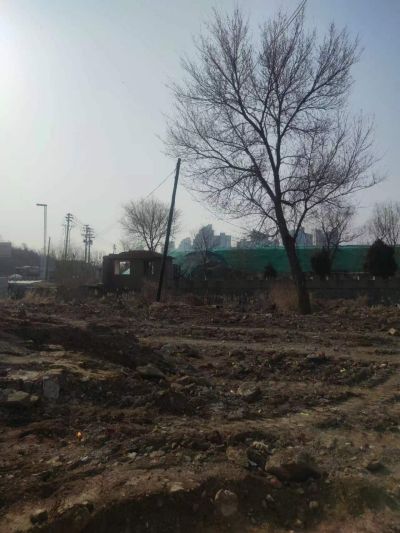 尊龙抖圈(中国区)官方网站-为du而生