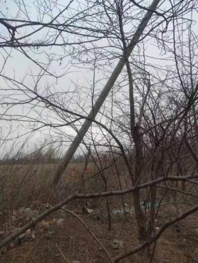 尊龙抖圈(中国区)官方网站-为du而生