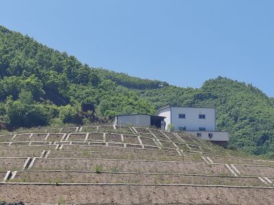 尊龙抖圈(中国区)官方网站-为du而生