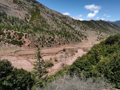 尊龙抖圈(中国区)官方网站-为du而生