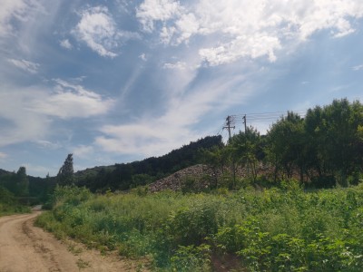 尊龙抖圈(中国区)官方网站-为du而生