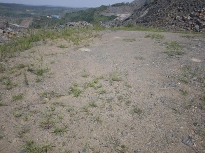 尊龙抖圈(中国区)官方网站-为du而生