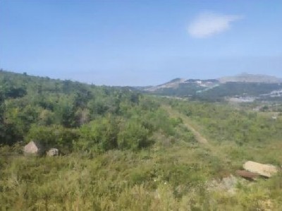 尊龙抖圈(中国区)官方网站-为du而生