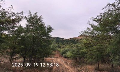 尊龙抖圈(中国区)官方网站-为du而生