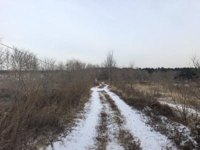 尊龙抖圈(中国区)官方网站-为du而生